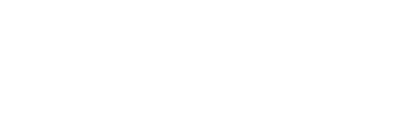 LogoBNTrasp